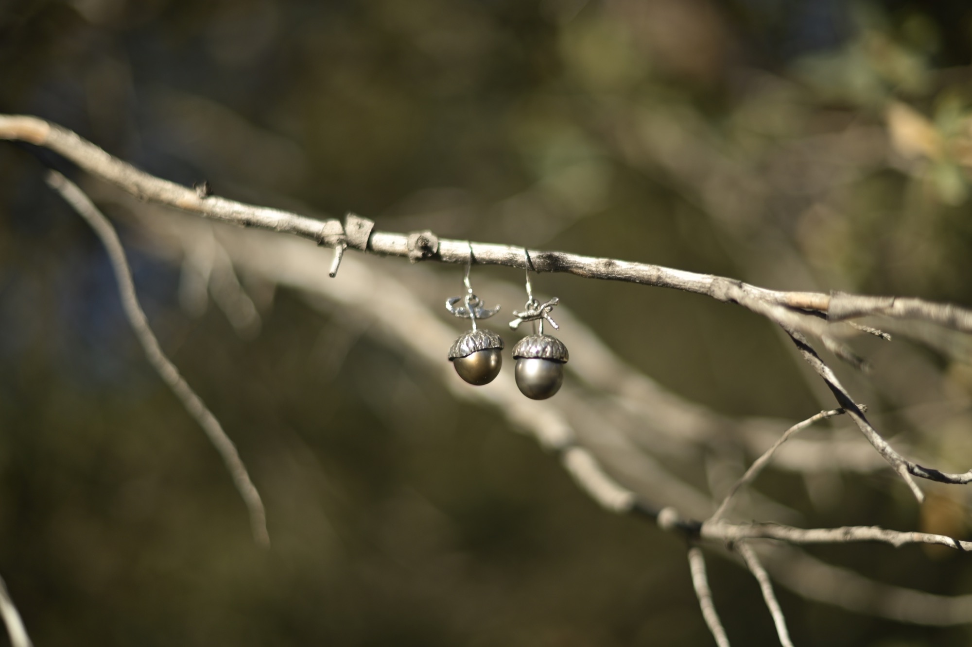 Sterling silver acorn drop earrings hanging from a bare branch