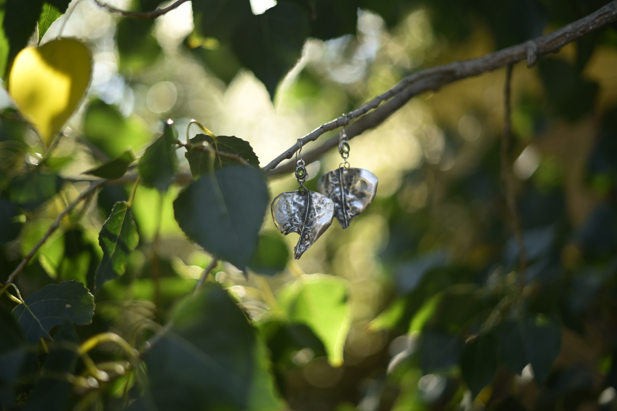 Hammered silver leaf earrings in sunlit green foliage