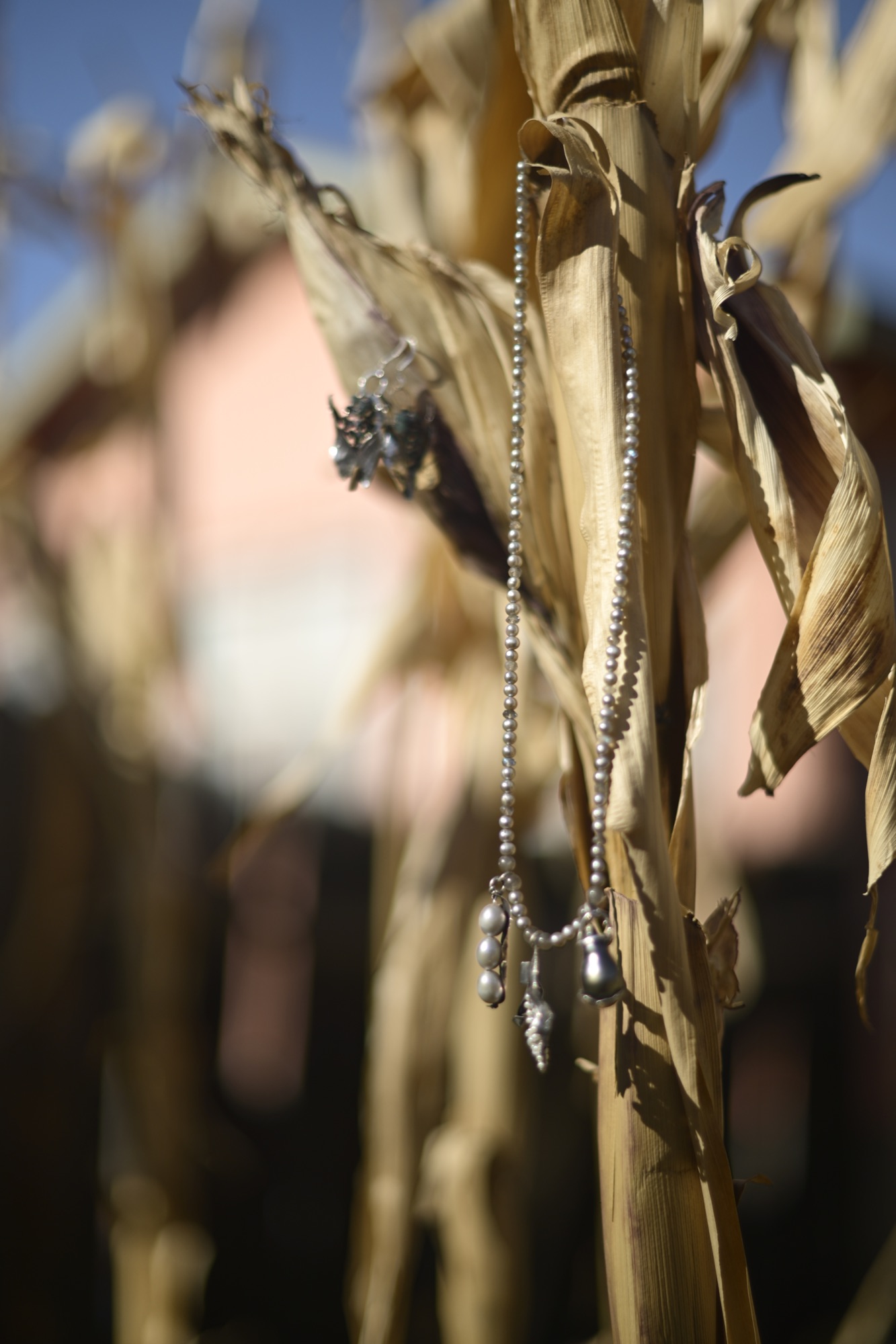 Beaded silver necklace with pearl drops displayed on dried corn stalks